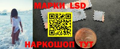 СК Гатчина