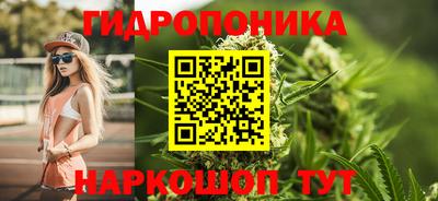 СК Гатчина