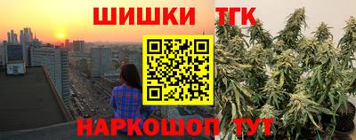 СК Гатчина