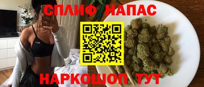 СК Гатчина