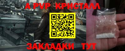 СК Гатчина