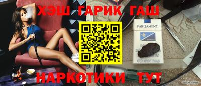 СК Гатчина